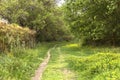 Awesome Green Sceneries of Natural Reserve of Ciane River in Syracuse, Sicily, Italy.