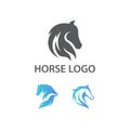 Awesome Illustration Vector Set Mustang Horse Design Inspiration Illustration Royalty Free Stock Photo