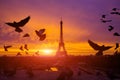 Awesome incredible pink-orange-lilac sunrise. View of the Eiffel