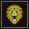 Awesome Mascot Lion Logo Premium Royalty Free Stock Photo