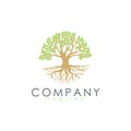 Root leaves tree logo for agriculture landscaping planting medical spa company