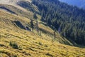 Awesome mountain landscape, nature and its beauty, located on the Red Mountain, Romania. Haymaking in the mountains