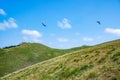 Awesome mountain landscape, nature and its beauty withs a flock of birds, located on the Red Mountain, Romania