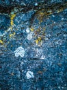 Awesome natural rock texture Royalty Free Stock Photo