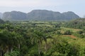 Awesome nature green ViÃÂ±ales valley Cuba