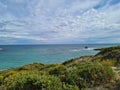 Awesome shot of a calm seascape with green bushes in foreground, mass of white clouds in sunny day