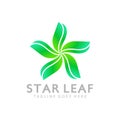 Awesome Star Leaf Gradient Logos Design Vector Illustration Template
