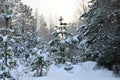 Awesome winter landscape. Winter forest in the snow