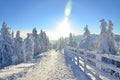 Awesome winter panorama Royalty Free Stock Photo