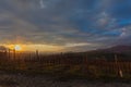 Awesome winter sunset over vineyard, Conegliano, Italy Royalty Free Stock Photo