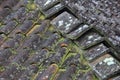 Weathered Ceramic Rooftile Mouldy and Mossy Royalty Free Stock Photo