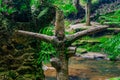 Awkward looking cross shape sculpture in in the magical garden tropical forest at Koh Samui. Thailand Royalty Free Stock Photo