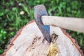 Ax cleaver stuck in a log. Royalty Free Stock Photo