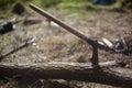 Ax for cutting firewood with a long handle in the forest. The ax is stuck in a tree