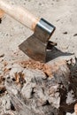 The ax in the pine log. Royalty Free Stock Photo