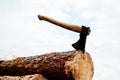 Ax on a sawn tree trunk. Log processing with hand tools. Deforestation of natural forests by illegal loggers. Close-up Royalty Free Stock Photo