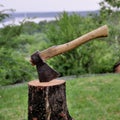 The ax is sticking out from a log. The ax head close up view