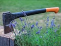 Ax stuck in log of wood. Lavender and green grass on background