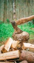 An ax stuck in a stump and lying vorkug logs while chopping wood