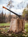 Ax in a tree trunk in the forest - deforestation, clearance, clearcutting Royalty Free Stock Photo