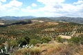 Axarquia countryside, Andalusia, Spain. Royalty Free Stock Photo