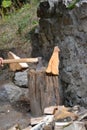 Axe in action cutting wood Royalty Free Stock Photo