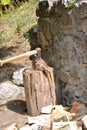 Axe in action cutting wood Royalty Free Stock Photo