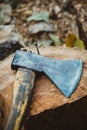 the axe on the big log Royalty Free Stock Photo