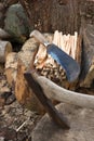 Axe and Billhook Machete Royalty Free Stock Photo