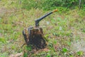Axe driven into a stump for chopping wood
