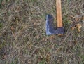 Axe Royalty Free Stock Photo