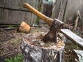Axe stuck in a stump Royalty Free Stock Photo