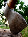 An axe stuck in a tree Royalty Free Stock Photo