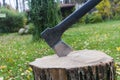 Axe in stump. Axe ready for cutting timber.Woodworking tool. Lumberjack axe in wood chopping timber. Travel adventure camping gear Royalty Free Stock Photo