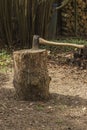 Axe in stump Royalty Free Stock Photo