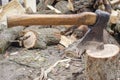Axe in stump. Axe ready for cutting timber.Woodworking tool. Lumberjack axe in wood, chopping timber. Travel, adventure, camping g Royalty Free Stock Photo