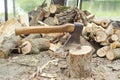 Axe in stump. Axe ready for cutting timber.Woodworking tool. Lumberjack axe in wood, chopping timber. Travel, adventure, camping Royalty Free Stock Photo