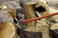An axe wedged into a tree stump Royalty Free Stock Photo