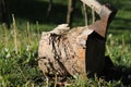 Axe in wood log Royalty Free Stock Photo