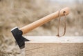 Axe in wood Royalty Free Stock Photo