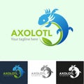 Axolotl logo conservation