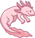 Axolotl clipart, Axolotl vector image download, axolot, ocean, sea animals