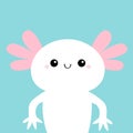 Axolotl. Mexican salamander. White axolotyl. Ambysoma mexicanum. Water dragon. Cute cartoon kawaii funny smiling baby character. Royalty Free Stock Photo