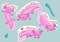 Axolotl stickers with inscriptions stay curious, i like you alotl, follow your dream, i love axolotls.Vector graphics