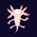 Axolotl vector illustration Royalty Free Stock Photo