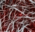 Axons and dendrites, abstract lines