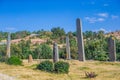 The ancient obelisks from the 4th century in Aksum, Ethiopia