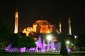 Aya Sofia (Hagia Sophia) Royalty Free Stock Photo