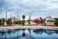 Aya Sofia Mosque for trees Royalty Free Stock Photo