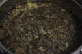 Ayahuasca Guayusa tea leaves from amazon rainforest, preparation brewing in a kettle close-up